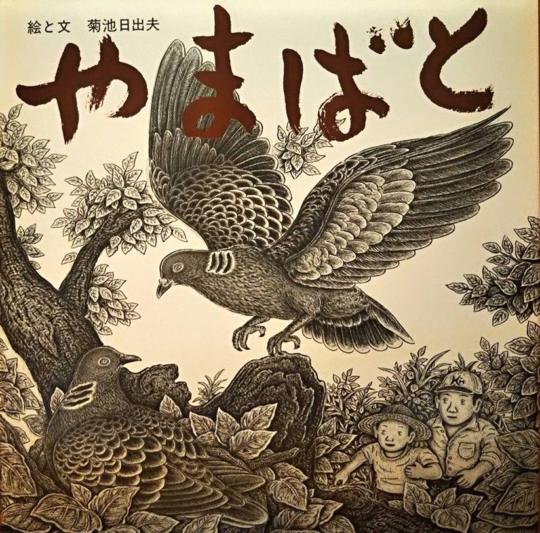 kikuchihideo002